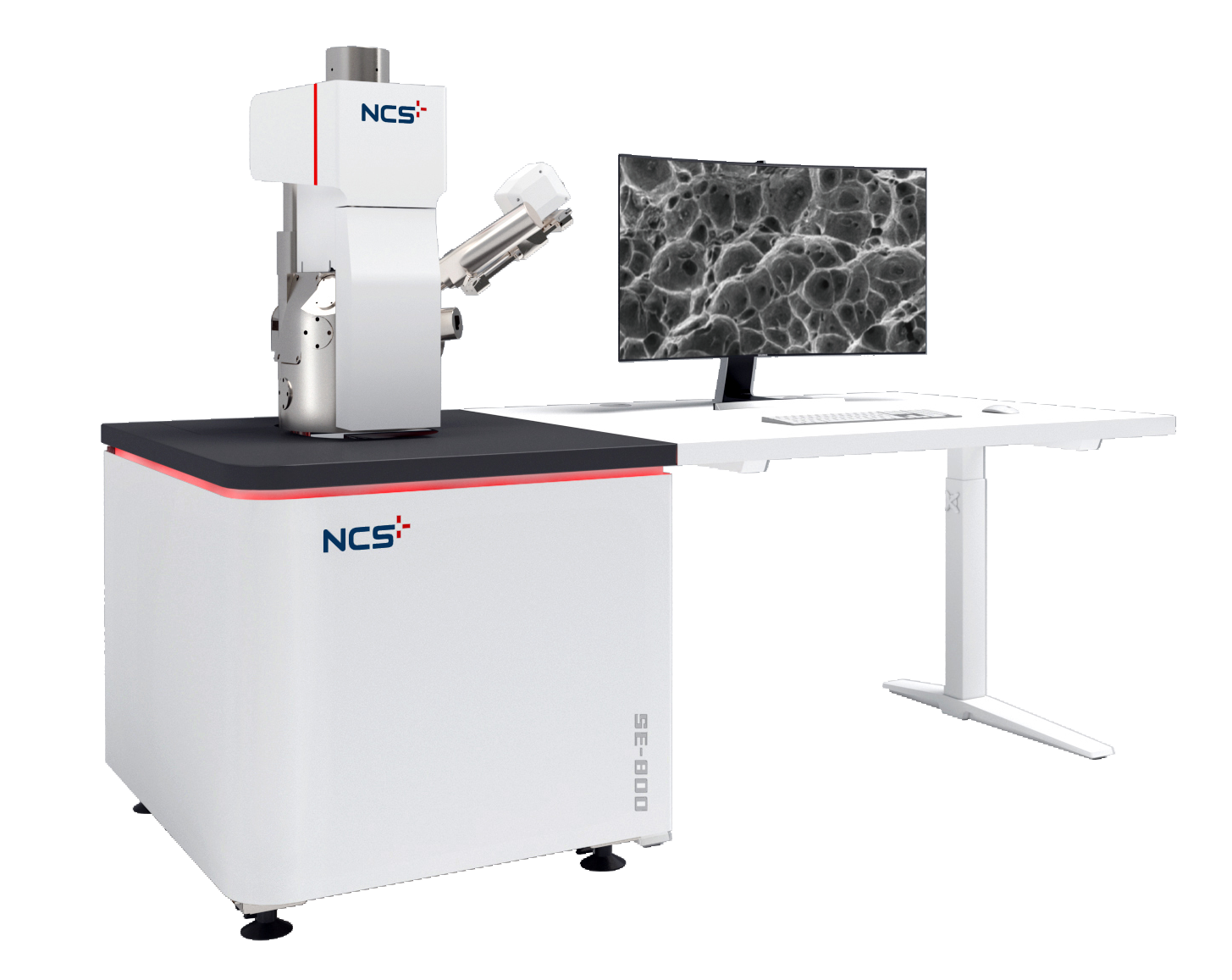 SEM scanning electron microscope